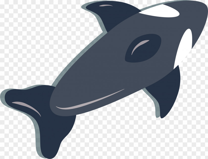 Blue Dolphin Vector Chilean Clip Art PNG