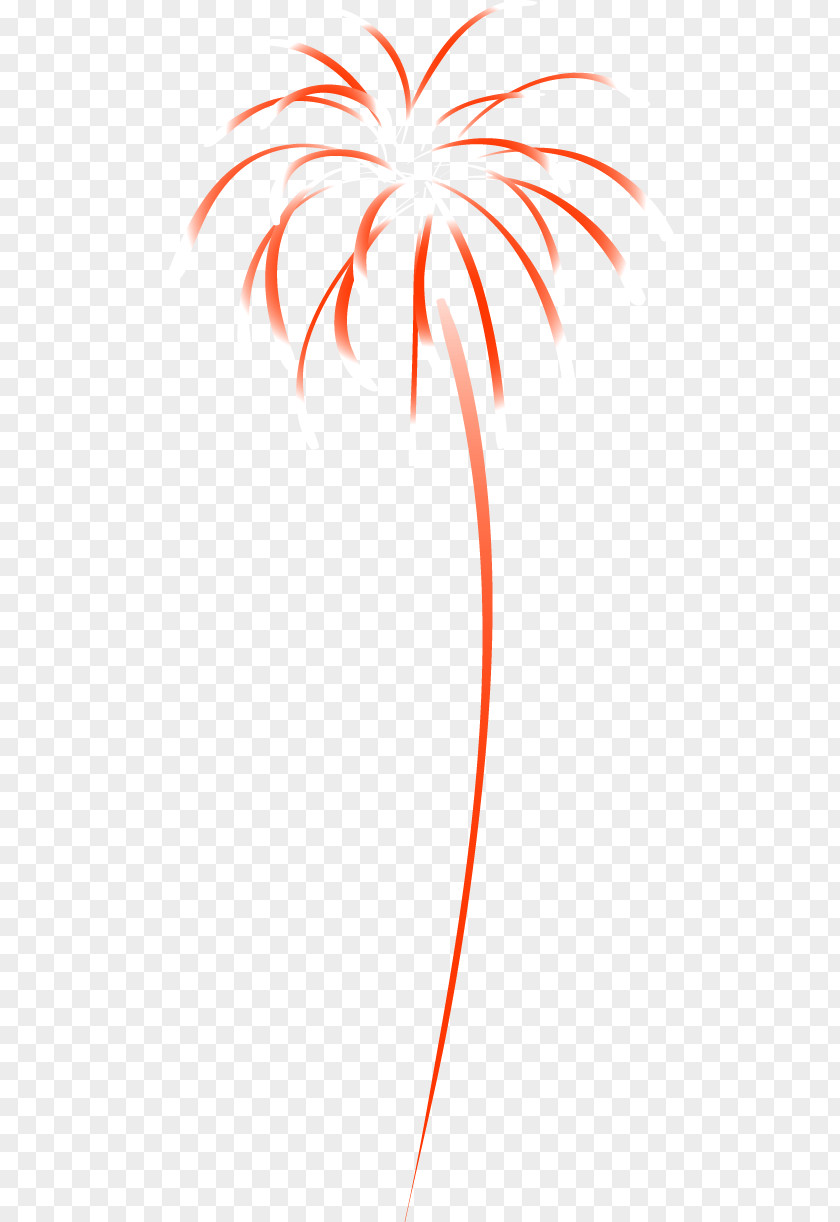 Festival Fireworks Tree Illustration PNG