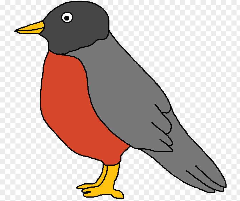Flightless Bird Duck Cartoon PNG