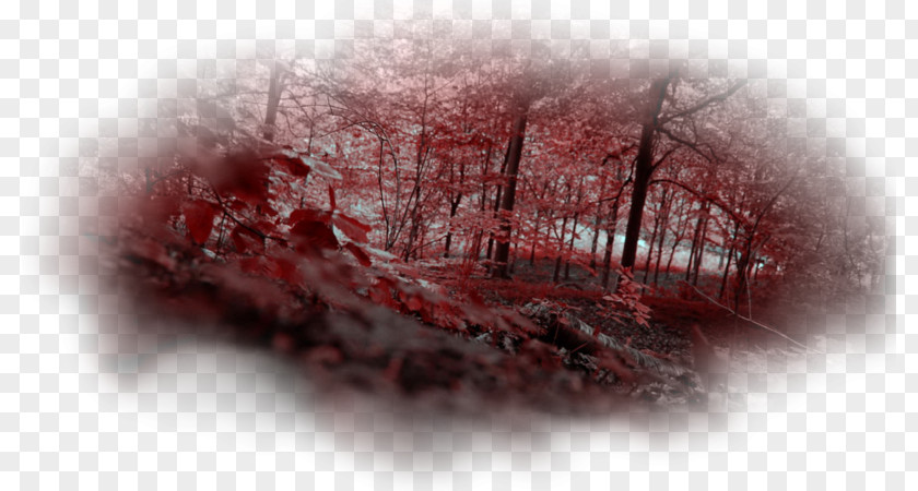 Forest Red Pripyat Chernobyl Disaster Radioactive Contamination PNG