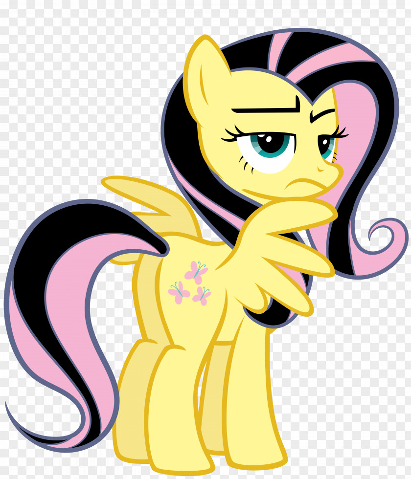 My Little Pony Rainbow Dash Fluttershy PNG