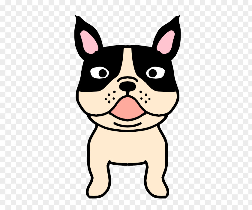 Puppy Boston Terrier Dog Breed Companion Whiskers PNG