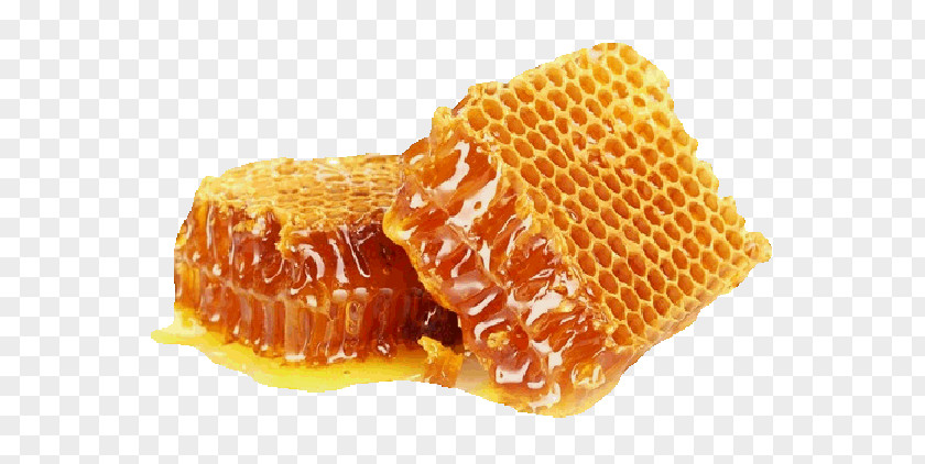 Bee Mead Honeycomb Food PNG
