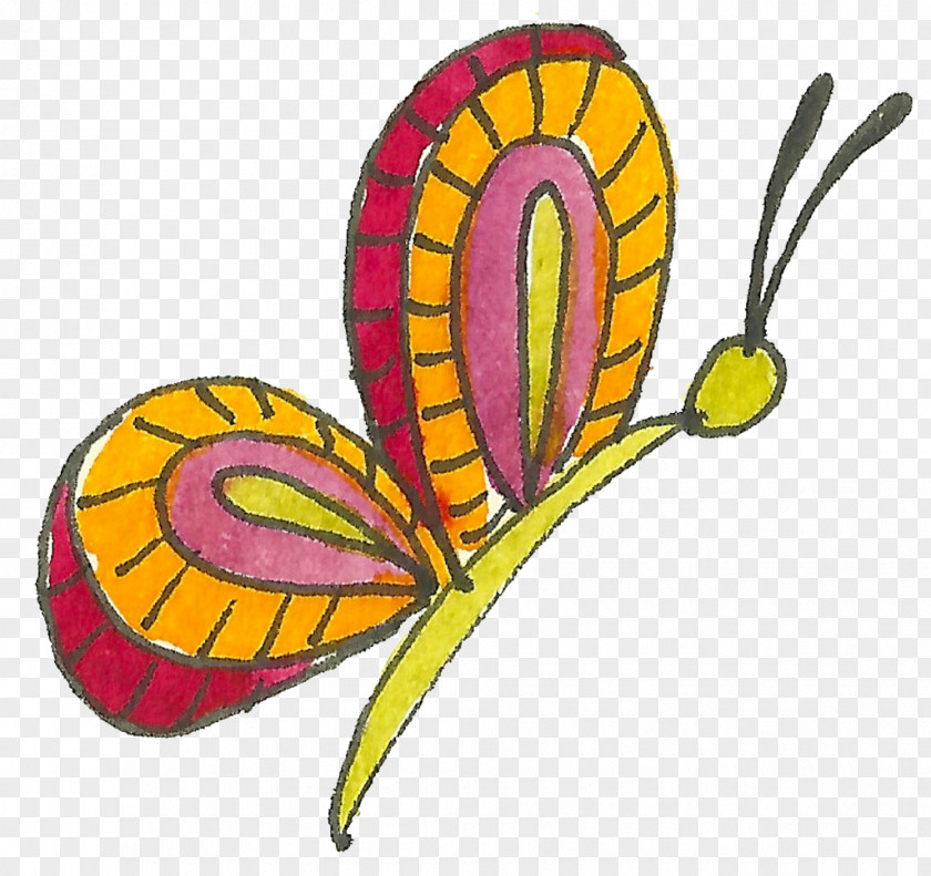 Butterfly Metamorphic Technique Insect Medicine Clip Art PNG