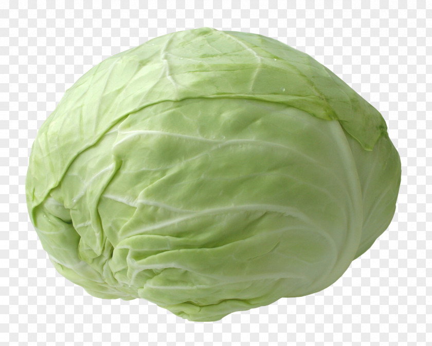 Cabbage Picture Vegetable Kale PNG
