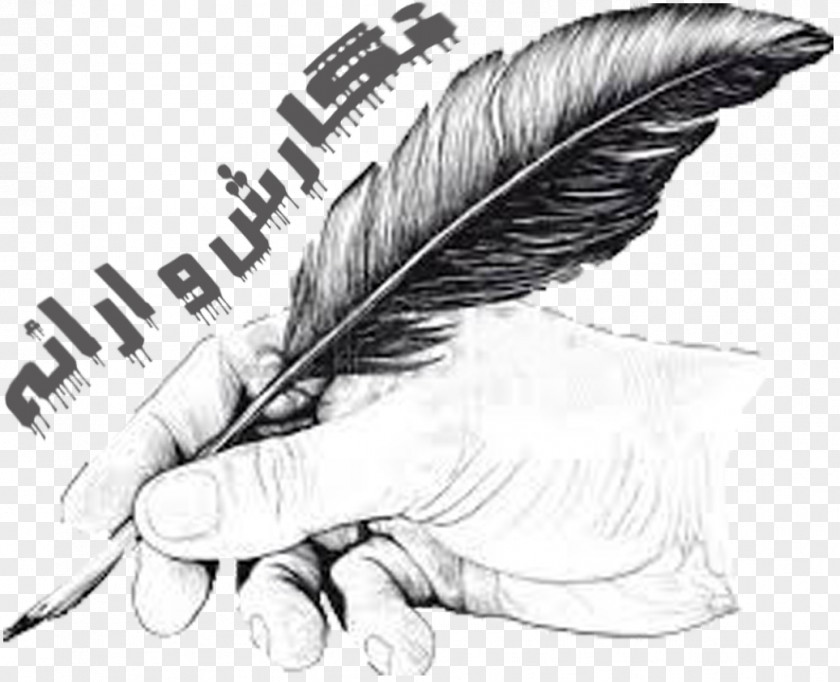 Feather Paper Quill Pens Drawing PNG