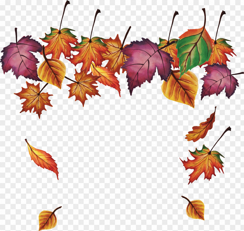 Maple Leaves Falling Leaf PNG