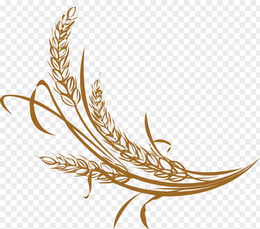 Rice Vector PNG