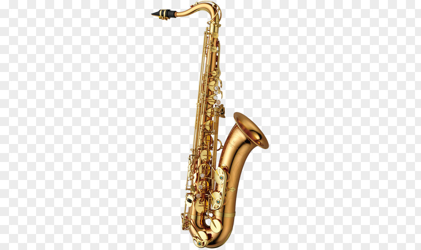 Saxophone Alto Yanagisawa Wind Instruments Henri Selmer Paris Soprano PNG