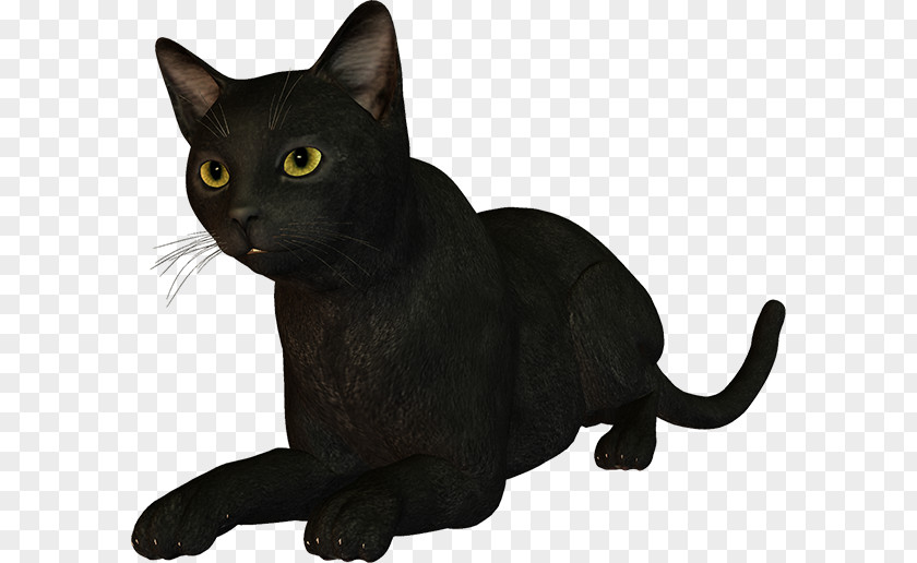 WATERCOLOUR CAT Black Cat Bombay Burmese Korat Malayan PNG