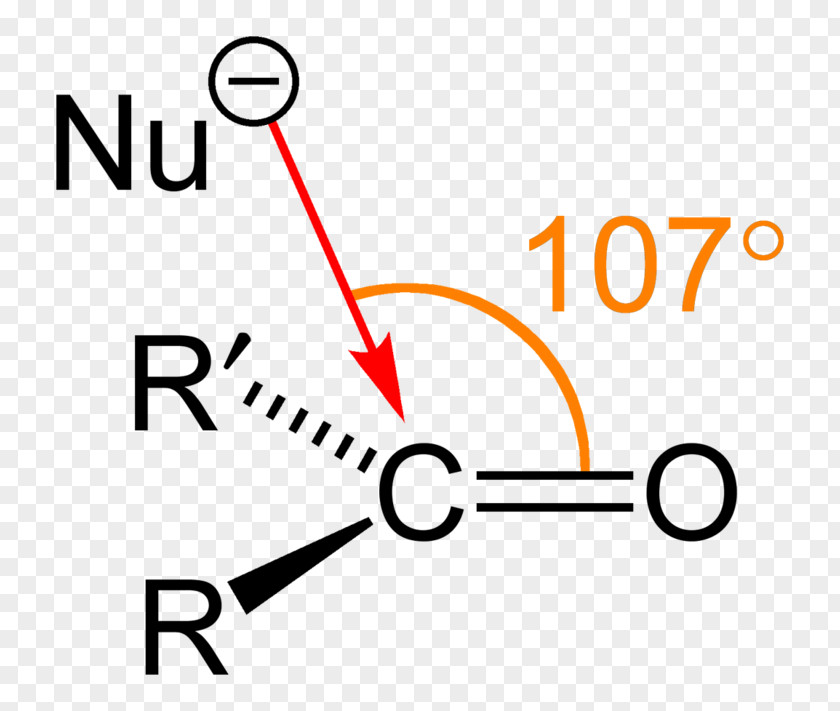 Angle Functional Group Amine Protopine Carbonyl PNG