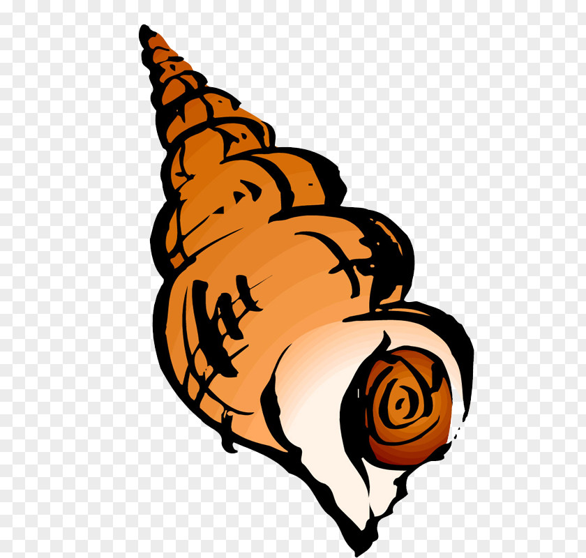 Cartoon Conch Crab Seafood Clip Art PNG