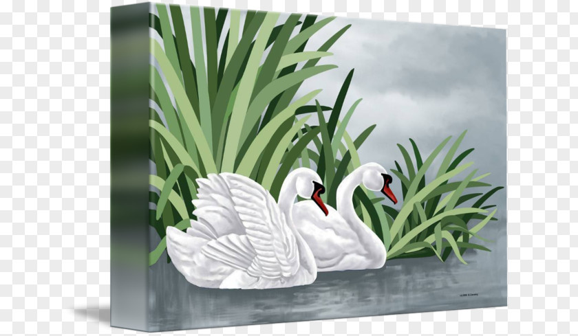 Mute Swan Duck Goose Painting Gallery Wrap PNG