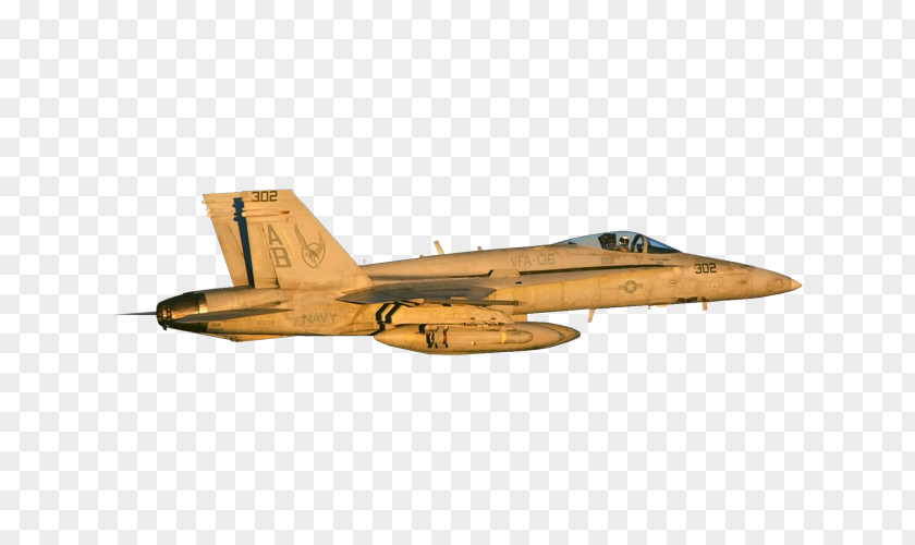 Northrop F-5 McDonnell Douglas F/A-18 Hornet Grumman F-14 Tomcat Corporation PNG