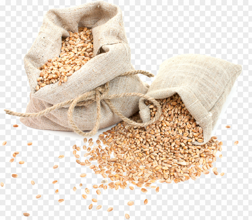 Wheat Spike Crop Barley Cereal Germ PNG