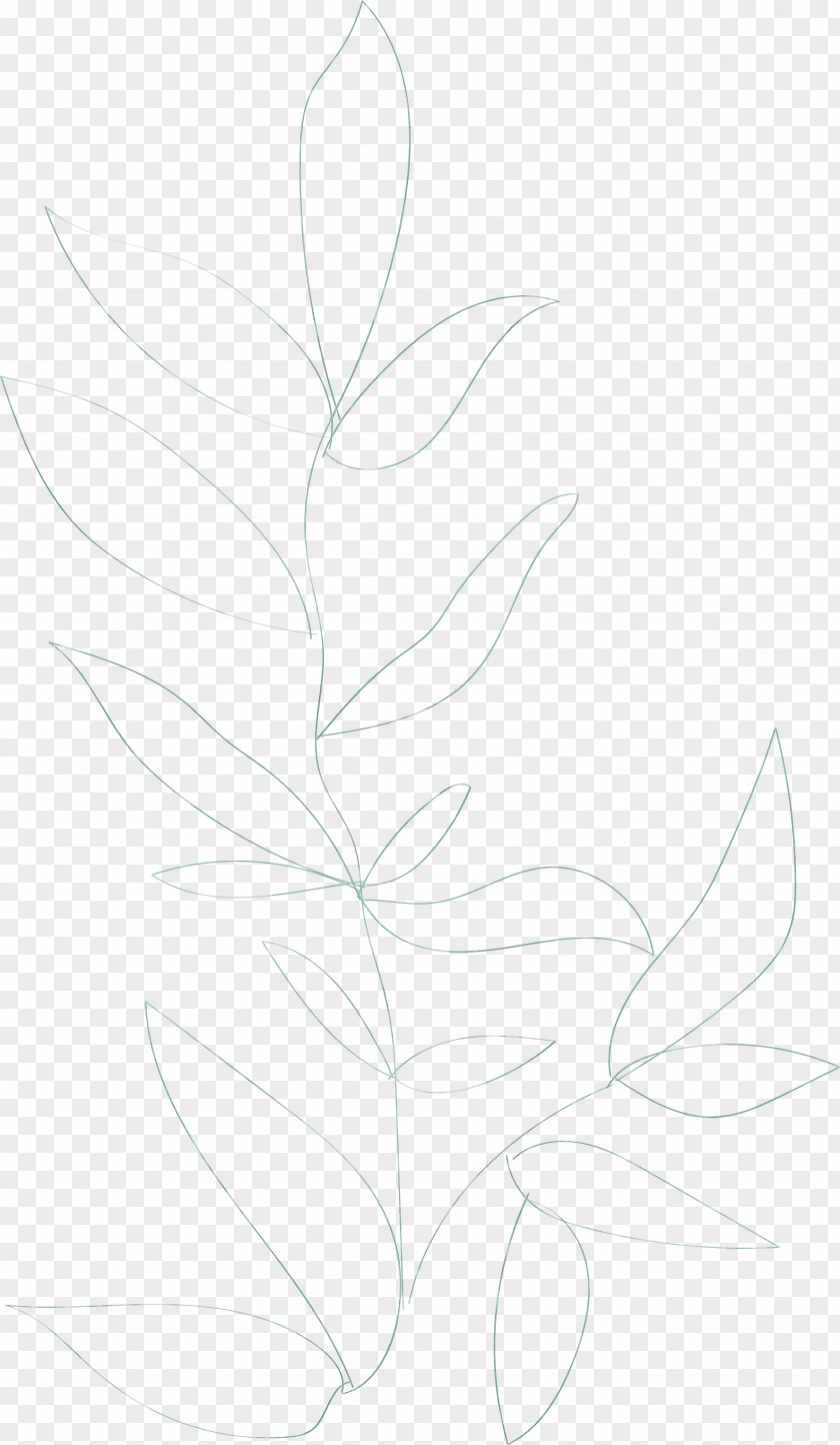 Floral Design PNG