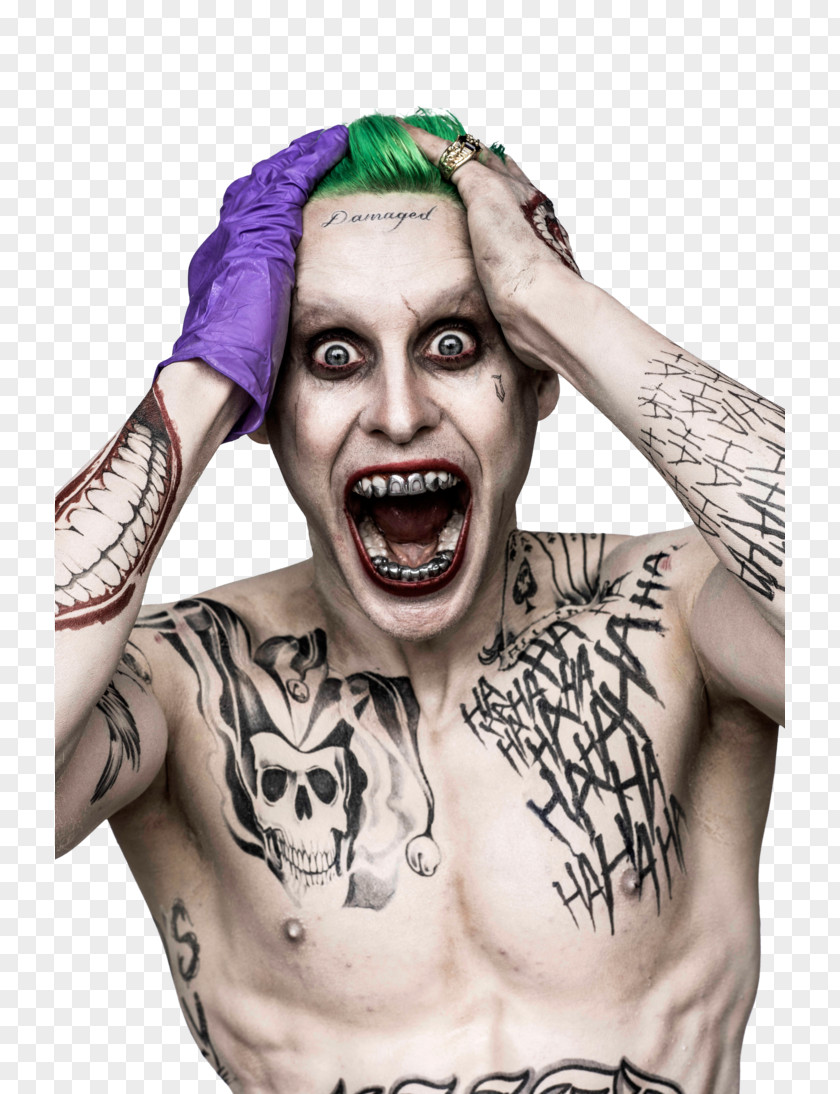 Joker Margot Robbie Batman Suicide Squad Harley Quinn PNG