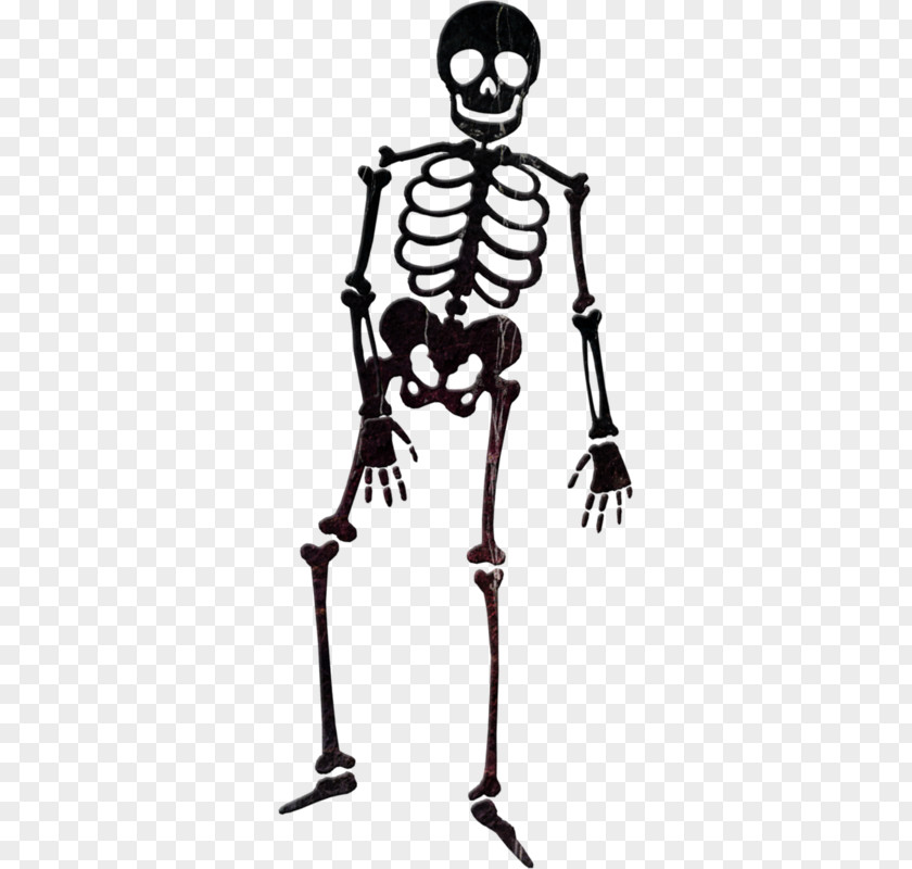 Black Skull Skeleton Human PNG