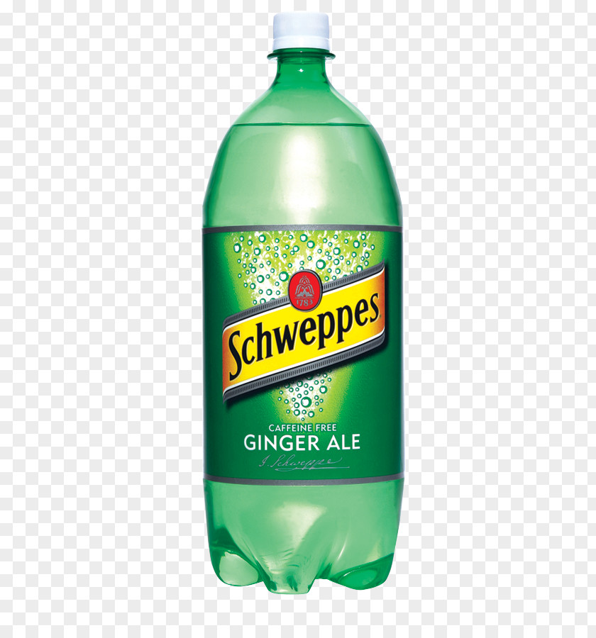 Drink Fizzy Drinks Ginger Ale Beer Mineral Water PNG