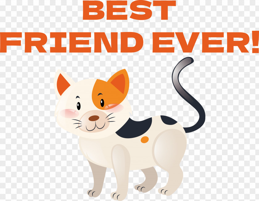 Cat Kitten Dog Snout Whiskers PNG