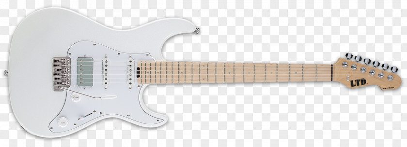Guitar Fender Classic 50s Stratocaster American Professional Musical Instruments Corporation Electric PNG