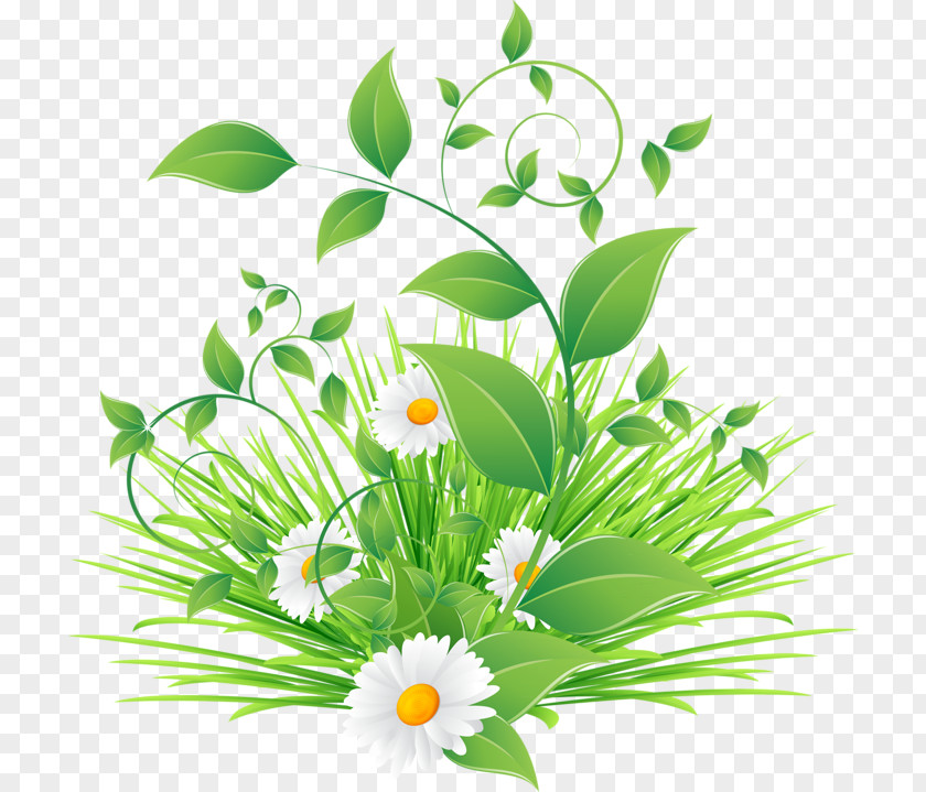 Leaf Paper Plant Green PNG