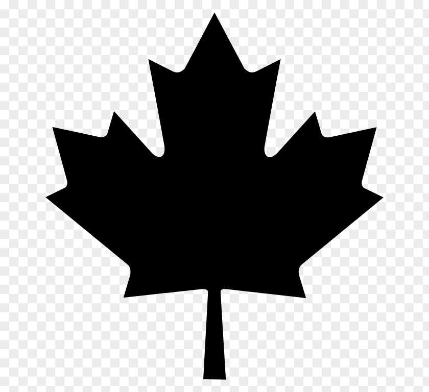 Maple Leaf Silhouette Flag Of Canada T-shirt PNG