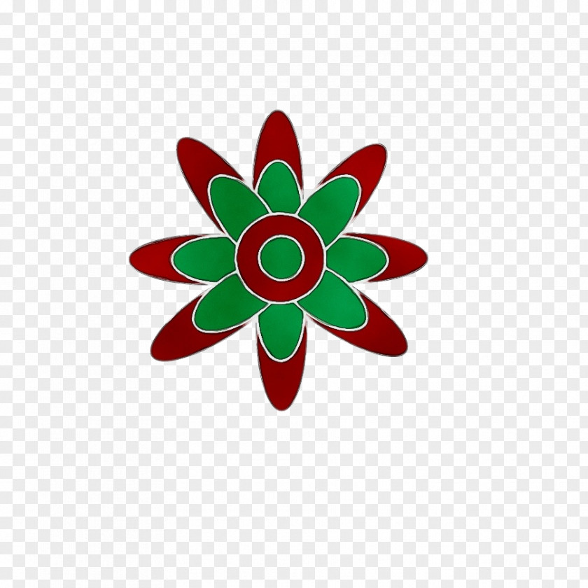 Poinsettia Symbol Green Plant Leaf Petal Flower PNG