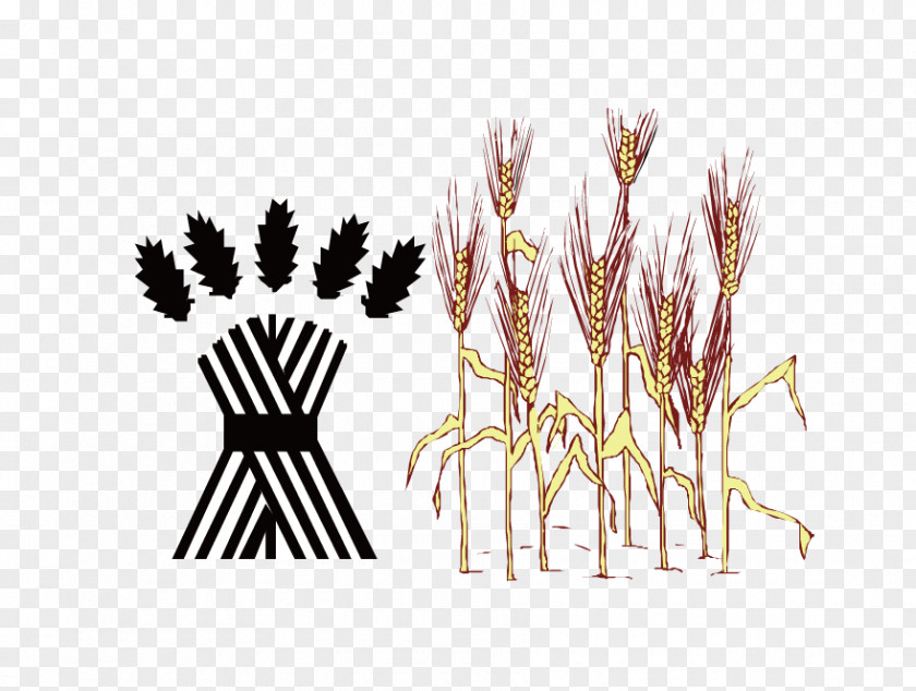 Vector Wheat Field Graphic Design PNG