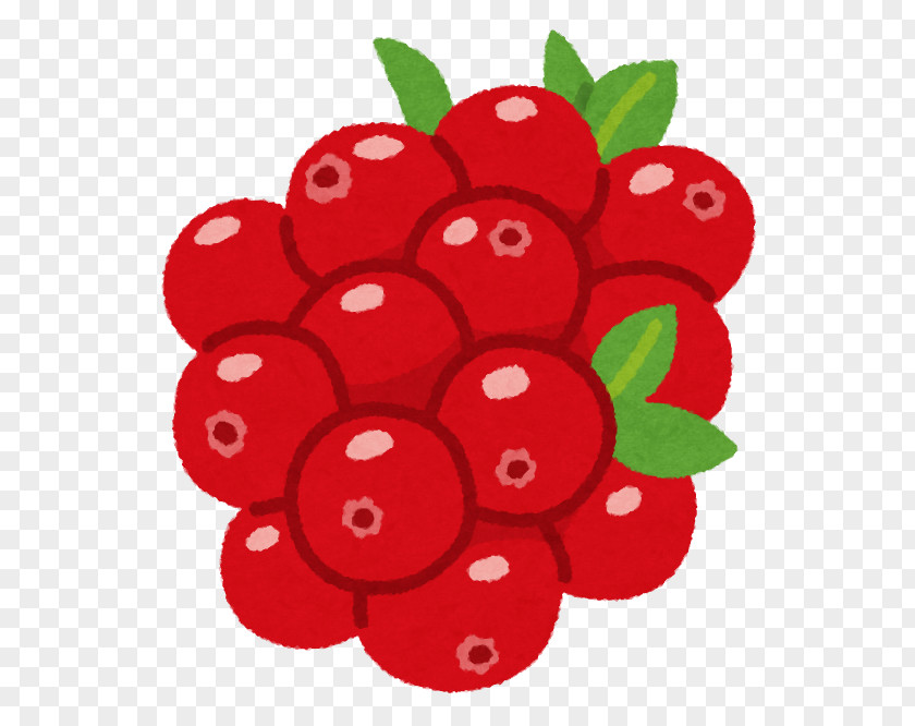 Cranberry Fruit Lingonberry いらすとや Tomoni PNG
