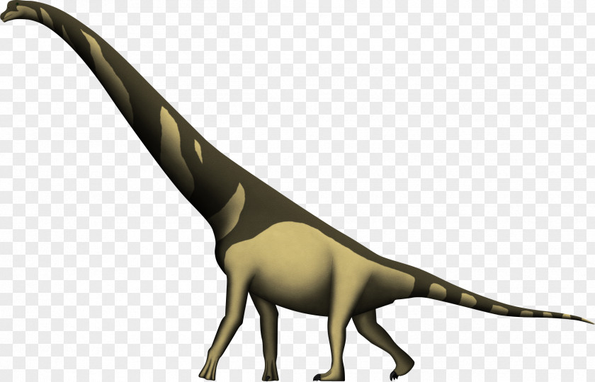Dinosaur Cedarosaurus Utahraptor Apatosaurus Brachiosaurus PNG