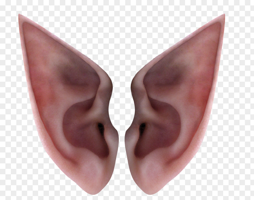 Elf Ears Ear Icon PNG