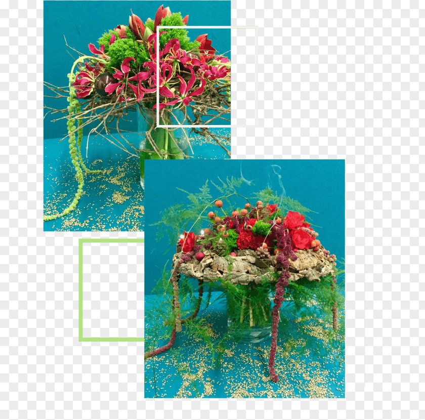 Flower Floral Design Cut Flowers Poinsettia Fiori E Idee Marilena PNG