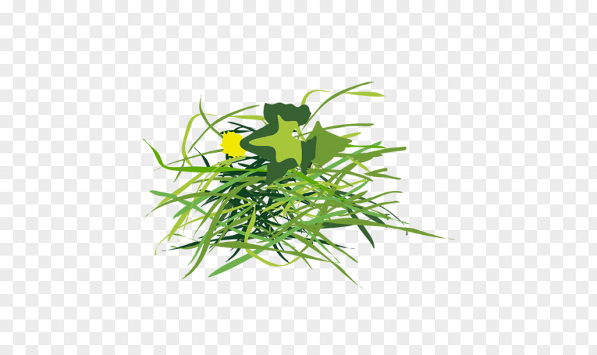 Gazon Luxembourg City Garden Asparagus Leaf Vegetable Waste Plant Stem PNG
