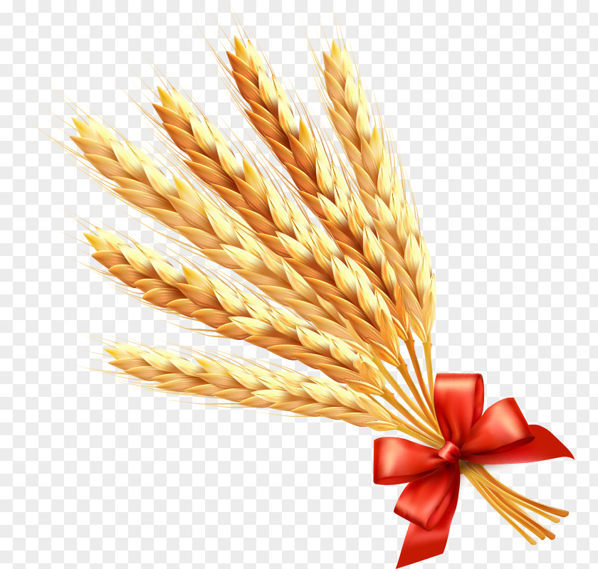 Wheat Ear Cereal Clip Art PNG