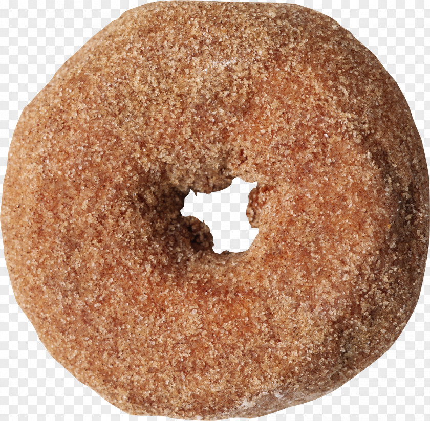 Bagel Cider Doughnut PNG