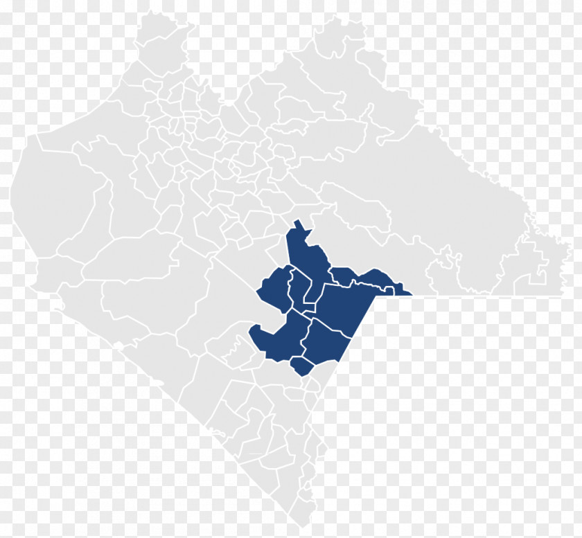 Electoral District Comitán IX Federal Of Chiapas VIII VII Districts Mexico PNG