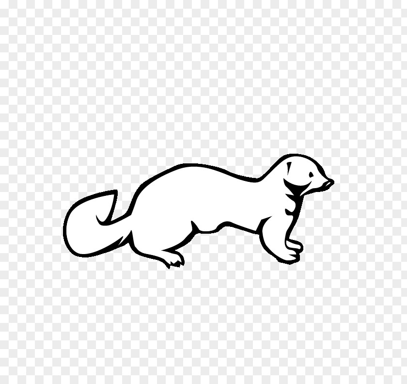 Ferret Weasels Mink Clip Art PNG