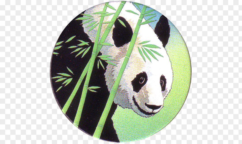 Holiday Inn Johnstowndowntown Giant Panda Snout PNG