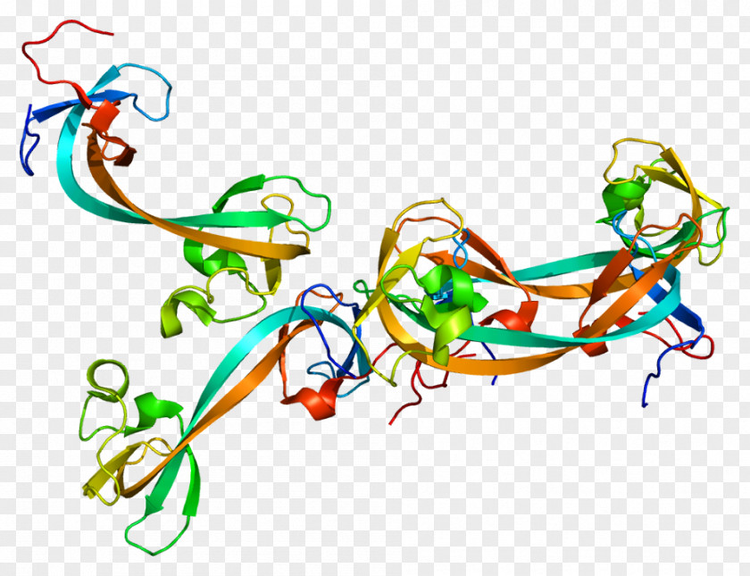 KDM4A Demethylase Gene Protein KDM4C PNG