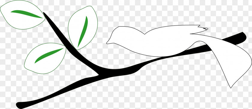 Picture Of A Tree Branch Black And White Clip Art PNG