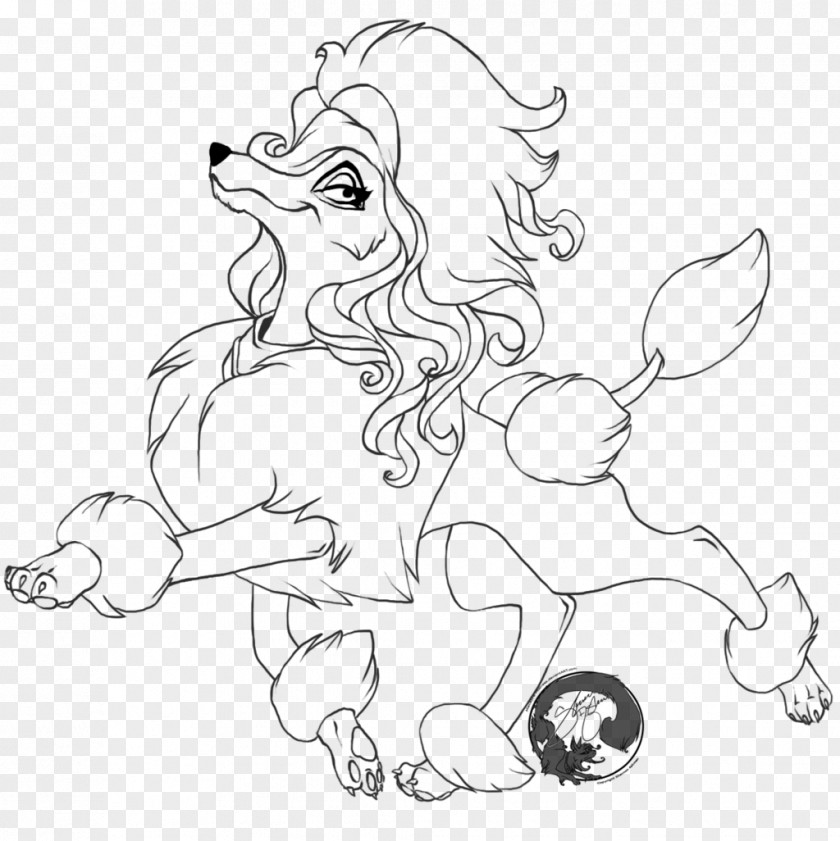 Puppy Toy Poodle Coloring Book Two Poodles PNG