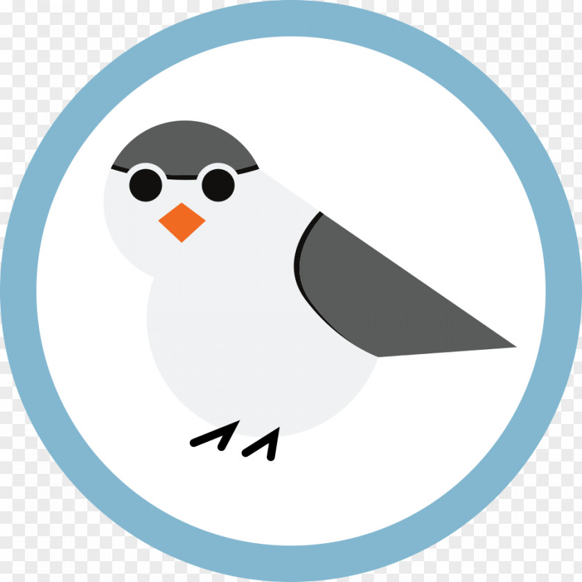 Bird GitHub Computer Software Robot Beak PNG