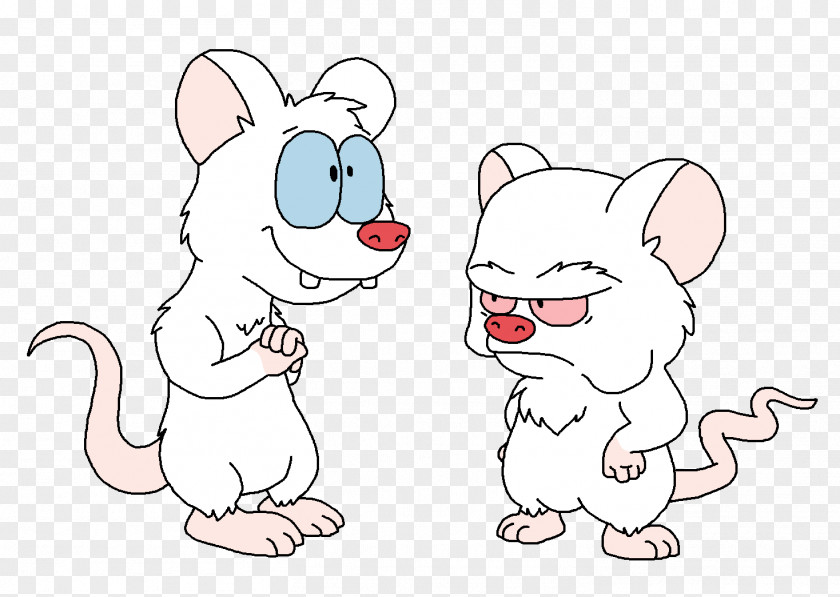 Cat Whiskers Mouse Rat Dog PNG