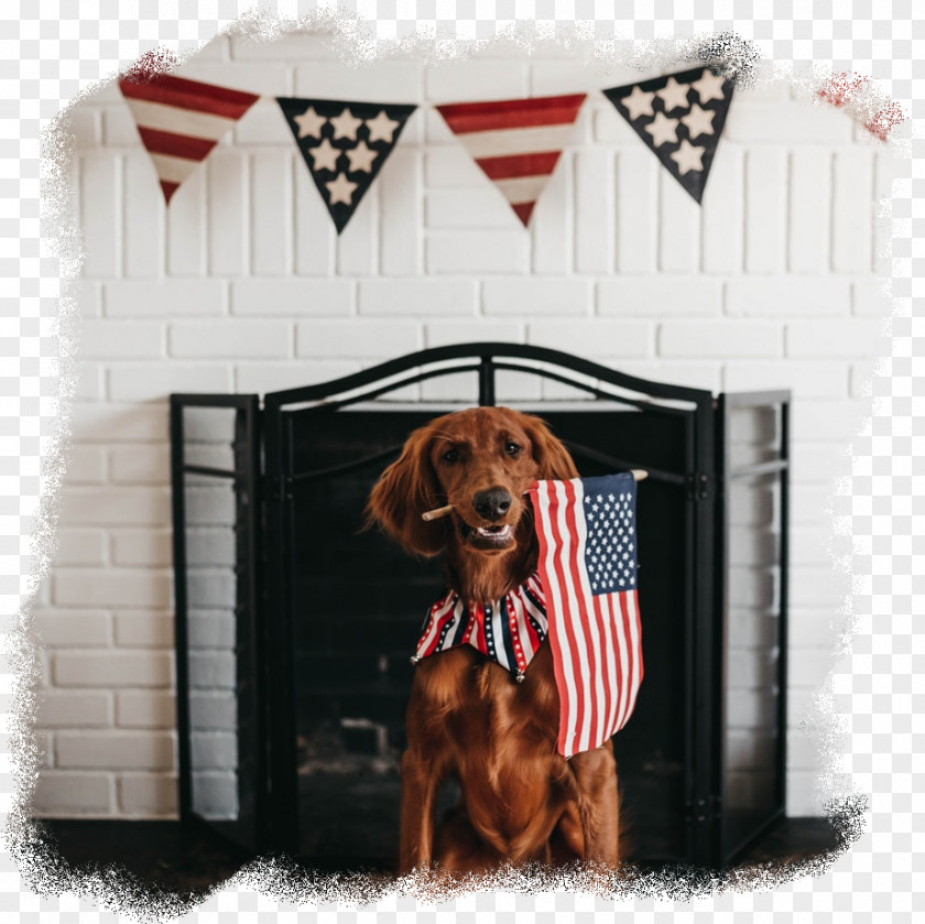 Flag Of The United States Host Family Dog PNG