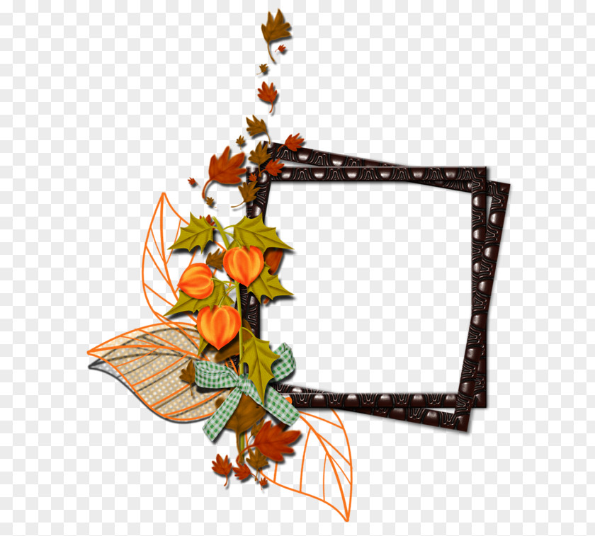 Flower Floral Design Cut Flowers Picture Frames Clip Art PNG