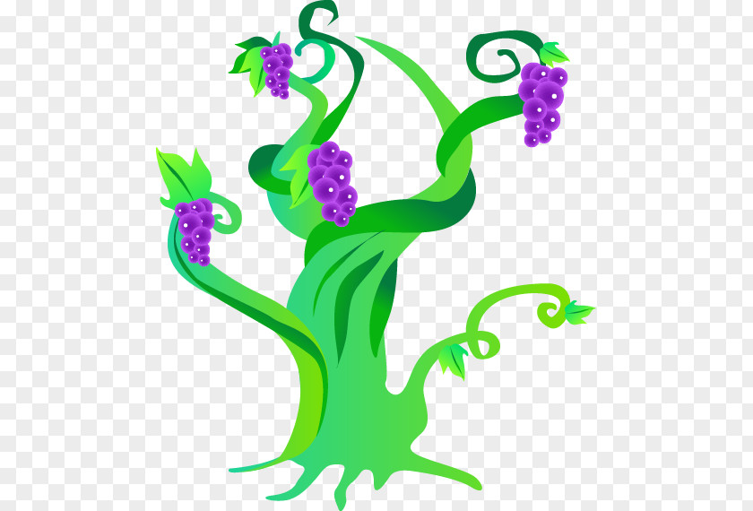 Grape Tree Vine PNG