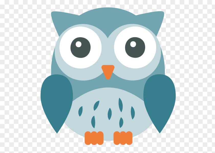 Owl Drawing Child Image Creativity PNG