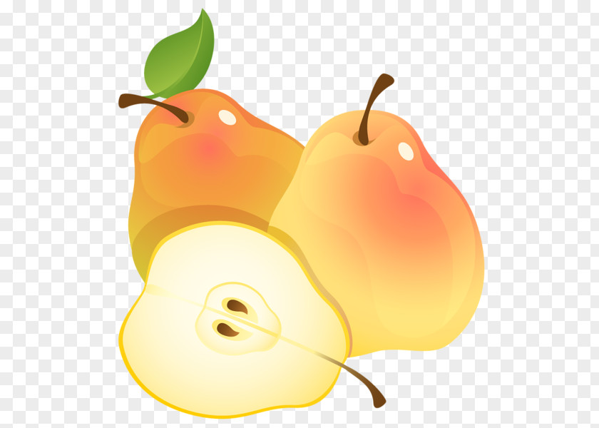 Peas Fruit Pyrus Nivalis Clip Art PNG
