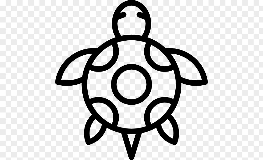 Tortoide Turtle Reptile Clip Art PNG